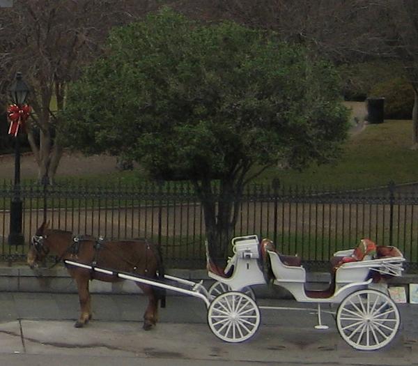 An empty carriage in Jackson Square. The budget hearings are public; the audience includes everyone who will live with the result.